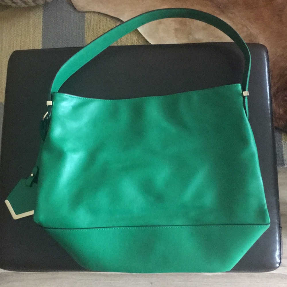 The Limited hobo bag